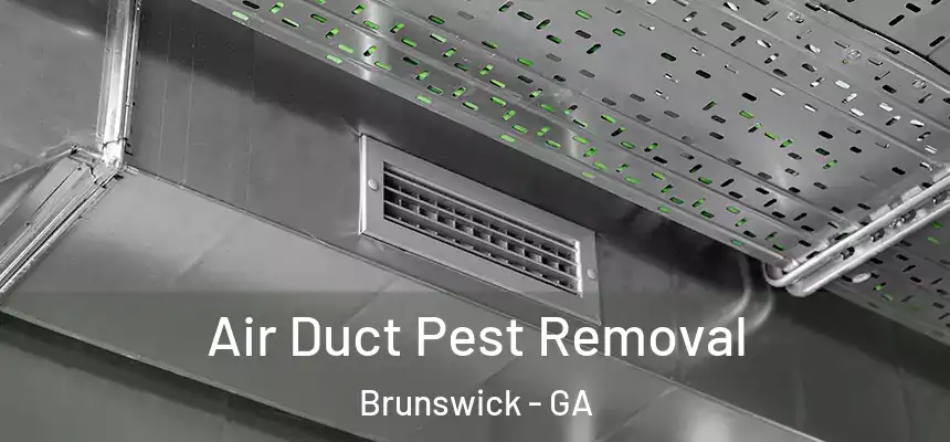  Air Duct Pest Removal Brunswick - GA