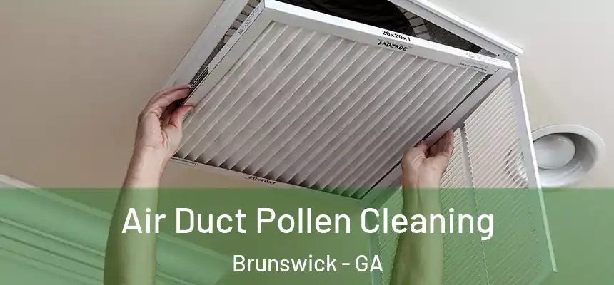  Air Duct Pollen Cleaning Brunswick - GA