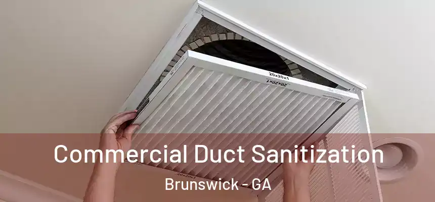  Commercial Duct Sanitization Brunswick - GA