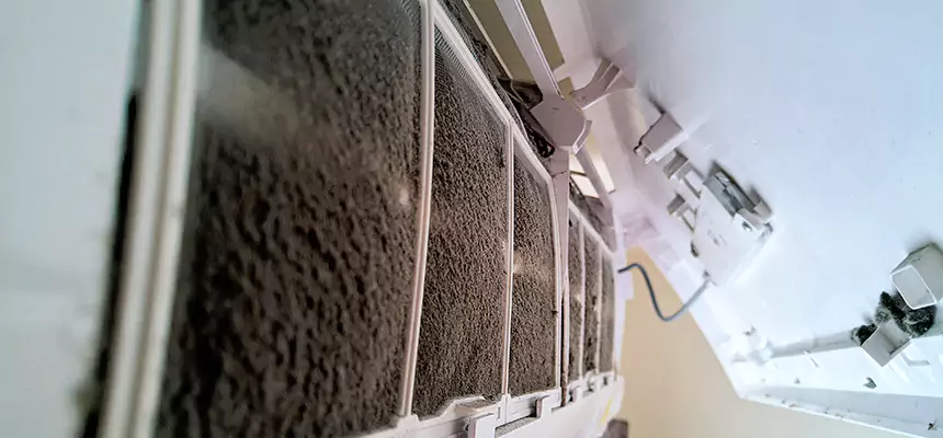 Preventive Air Duct Bacteria Removal in Brunswick