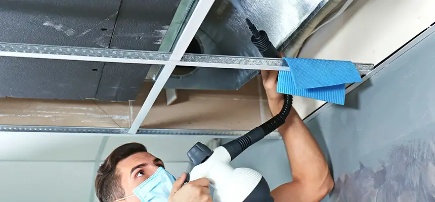 Our Air Duct Rodent Removal Services in Brunswick, GA