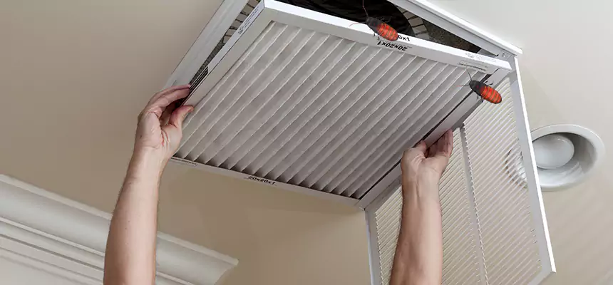 Our Insect Removal from Air Ducts Services in Brunswick, GA