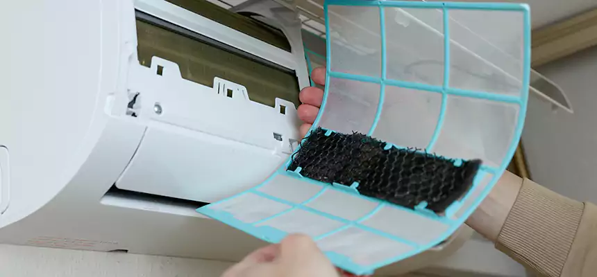 Gentle Ductwork Odor-Control Pet Dander Duct Cleaning in Brunswick, GA