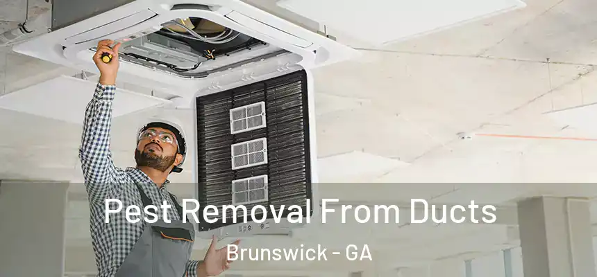  Pest Removal From Ducts Brunswick - GA