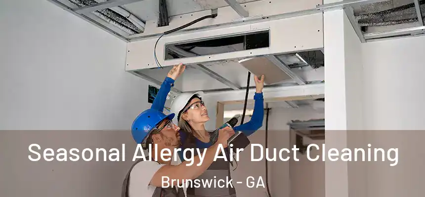  Seasonal Allergy Air Duct Cleaning Brunswick - GA