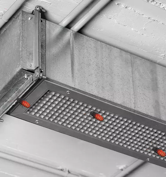 Affordable Insect Removal from Air Ducts in Brunswick, GA