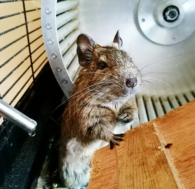 Why Homeowners & Businesses Trust Us Brunswick, GA