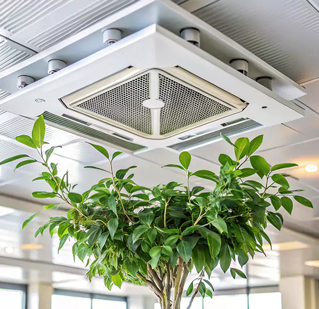 Why Homeowners & Businesses Trust Us in Brunswick, GA?