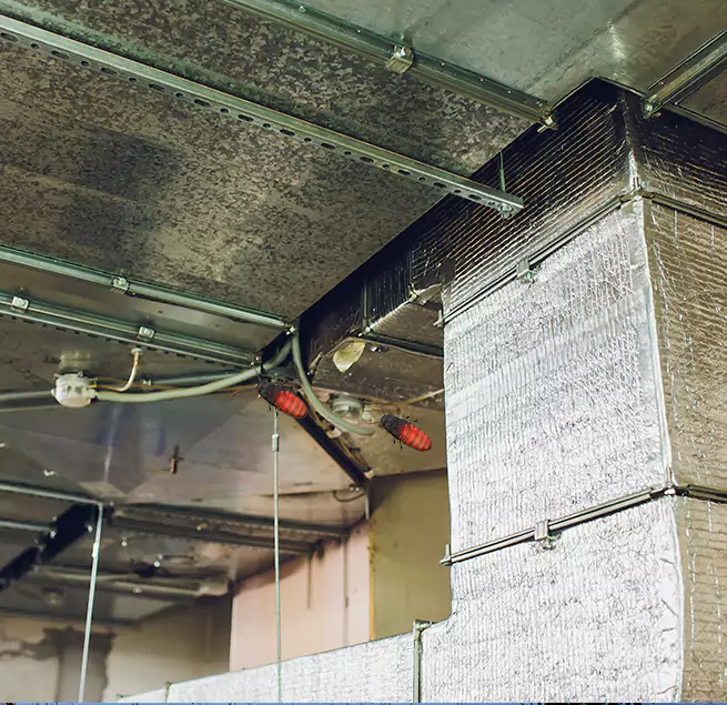 Why Homeowners & Businesses Trust Us Brunswick, GA?